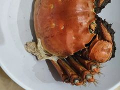 -黄记大闸蟹专卖店·活蟹·醉蟹