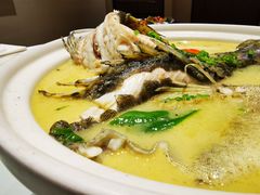 藤椒鱼片-一宽宽宴(白浮泉路店)