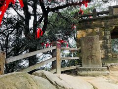 -缙云山景区