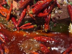 -探鱼·鲜青椒爽麻烤鱼(广州花都来又来店)