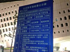 -南京国际青年文化中心