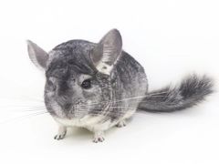 -龙猫仔乐园(惠福东路店)