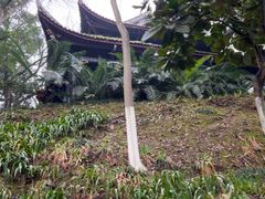 -丰都鬼城名山景区