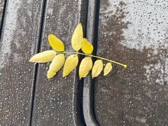 -皇城老妈·大连海鲜火锅(港湾店)