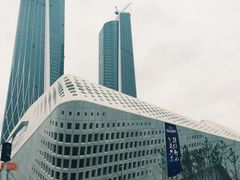 南京国际博览中心酒店-南京国际博览中心酒店