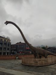 -恐龙探索乐园(磁器口店)