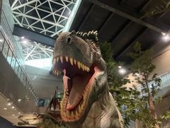 -湖南省地质博物馆