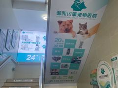-谐和贝康宠物医院24小时·宠保定点(急重症转诊中心)