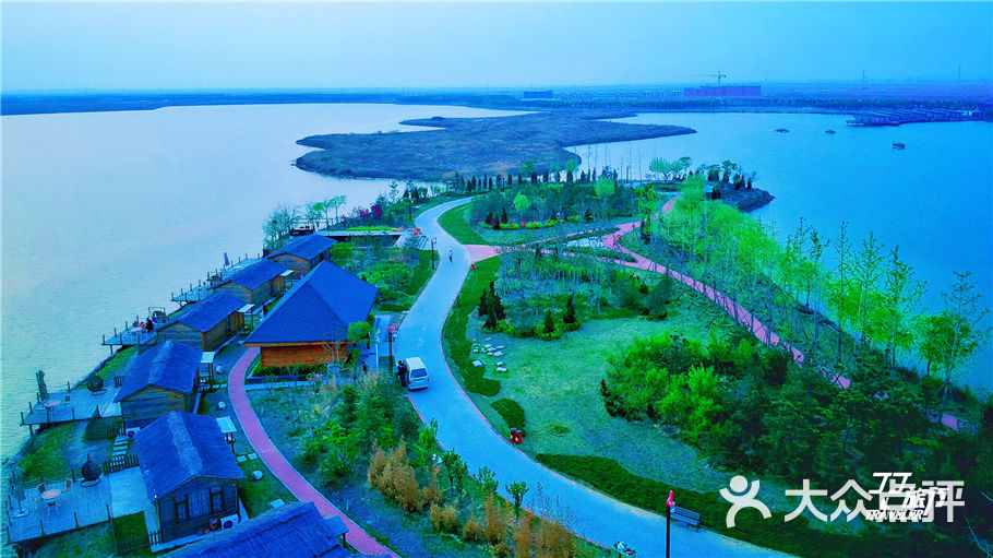 曹妃甸森林公园