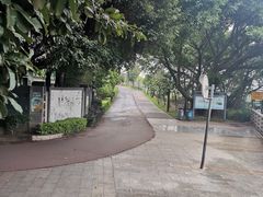 -立新湖公园