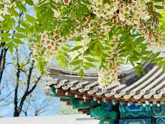 -北京石刻艺术博物馆(五塔寺)