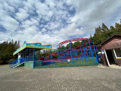 -上海滨江森林公园