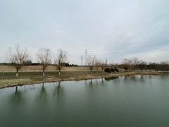 -漕湖湿地公园