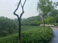 -滨河世纪广场公园