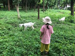 -马陆小张葡萄园农家乐