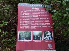 -梧桐山风景名胜区