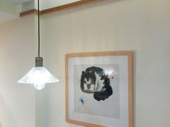 -滚猫咖啡·猫咖·猫友好撸猫(未来城店)