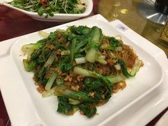 肉沫小白菜粉丝-东四民芳餐厅(世茂工三店)