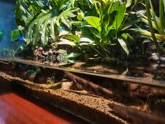 -太平洋海底世界