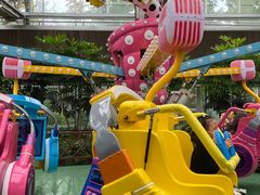 -南宫五洲植物乐园