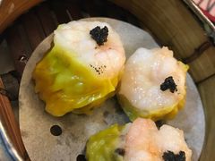 -糖朝(尖沙咀店)