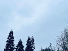 -山王坪喀斯特国家生态公园