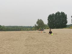 -东郊湿地公园