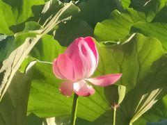 -哈尔滨师范大学(松北校区)