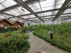 -南宫五洲植物乐园