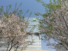 -上海虹桥西郊假日酒店