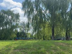 -莫子山公园