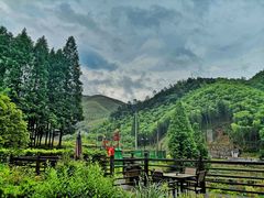 -莫干山风景区