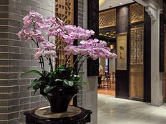 -龙悦湾酒家·八阵鱼生·渔人码头店