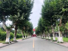 -四川大学(望江校区)