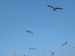 -那香海钻石沙滩浴场