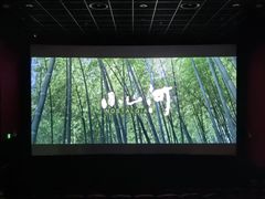 -万达影城(IMAX激光铁西万达广场店)