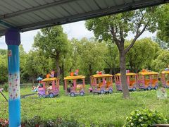 -上海吴淞炮台湾国家湿地公园