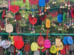 -西双版纳原始森林公园