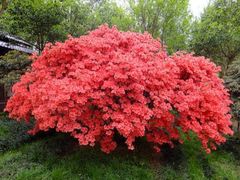 -杭州六谷生态休闲农庄有限公司