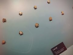 -西安大唐西市博物馆