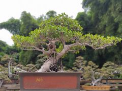 -西湖公园(鼓楼区)
