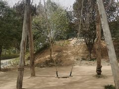 -开口笑·精选水饺