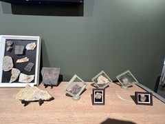 -遇见博物馆(遇见海洋沉浸式奇幻光影展)