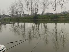 -苏记溪河鲢鱼庄(天府新区店)