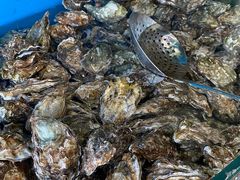 -港畔赶海蒸汽海鲜烧烤自助(仙螺岛店)