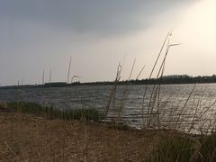 -绿堤公园