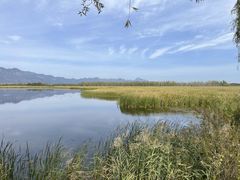 -野鸭湖国家湿地公园