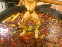 -鸿顺老铁锅美蛙鱼府(解放碑店)