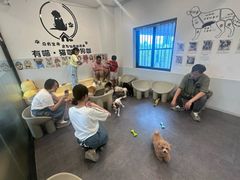 -有喵·猫咖·狗咖·30几只猫10只小狗(岗厦店)