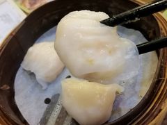 虾饺-添好运点心专门店(深水埗店)